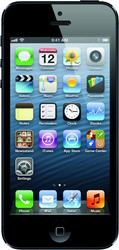 Apple iPhone 5 16GB - Каменка