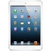 Apple iPad mini 16Gb Wi-Fi + Cellular белый - Каменка