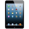 Apple iPad mini 64Gb Wi-Fi черный - Каменка