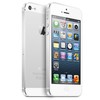 Apple iPhone 5 64Gb white - Каменка